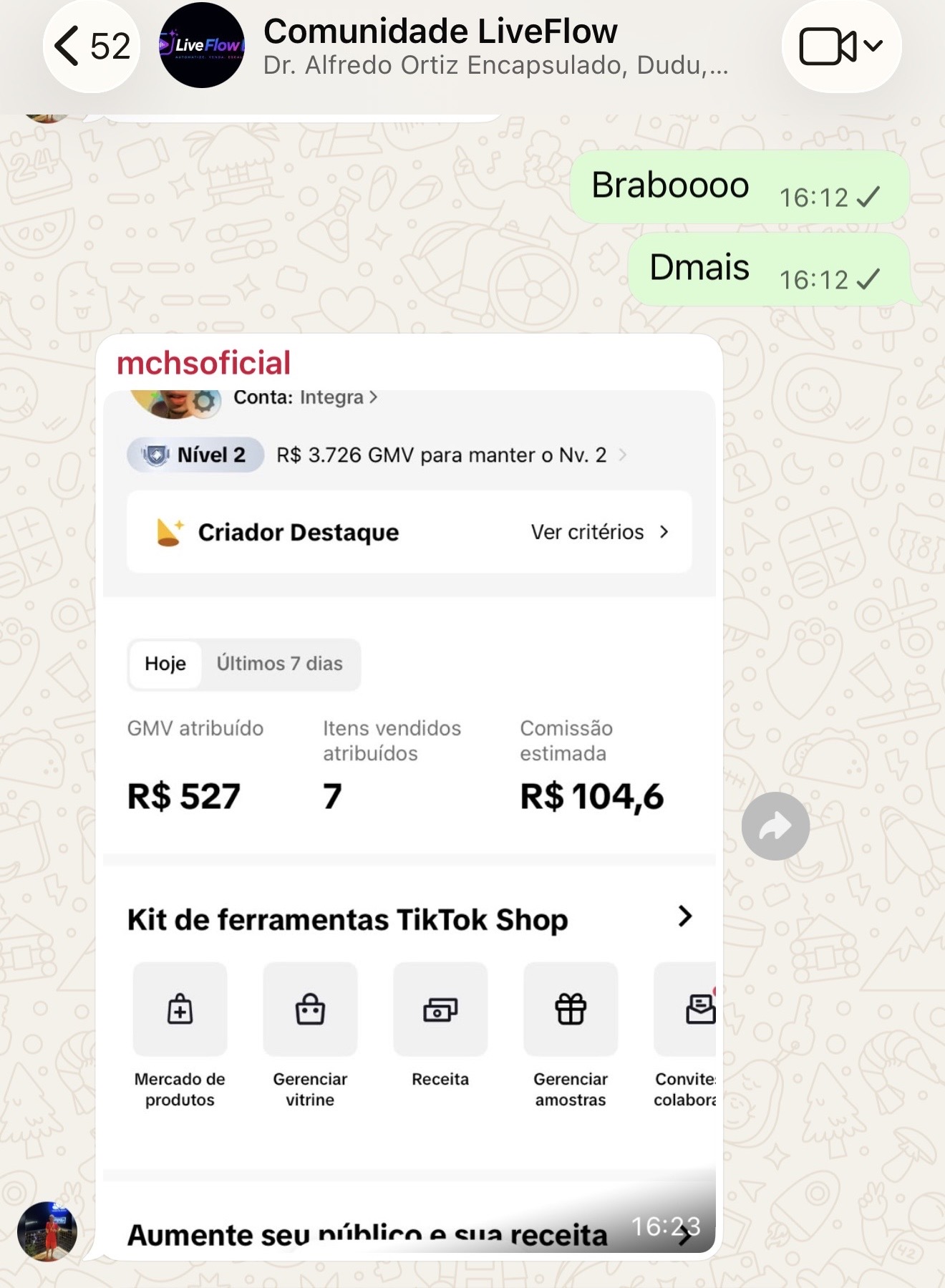 R$ 527 em vendas — Nível 2 no TikTok Shop